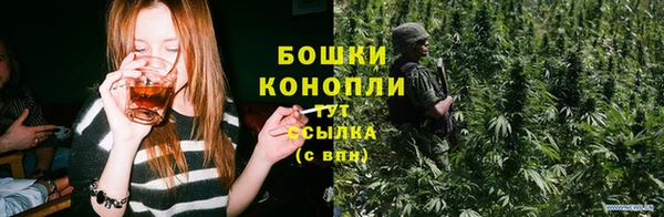 стаф Богородицк